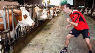 Съотборник на Пелето и Рангелов тренира с крава
