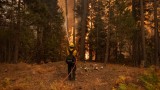  Евакуираха хиляди поради пожар край крайбрежията на Тахо, Калифорния 