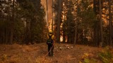 Евакуираха хиляди заради пожар край бреговете на Тахо, Калифорния