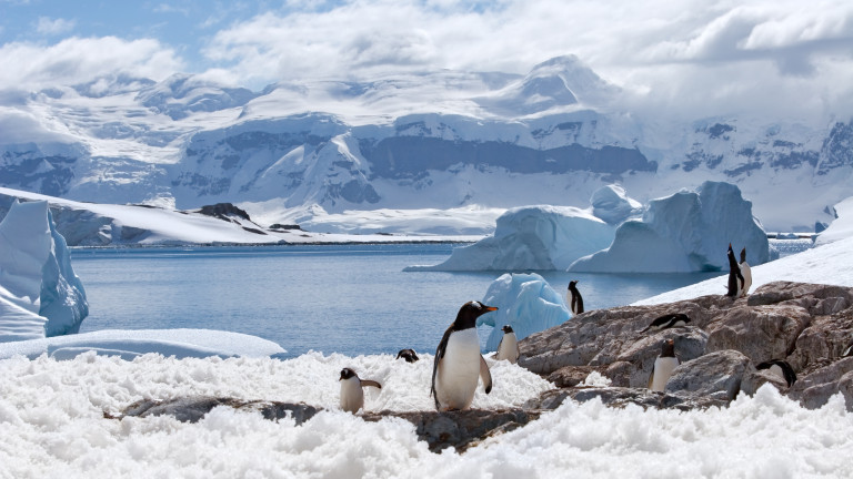 Само с 0,5 градуса по високи температури в света ще оставят без лед Антарктика