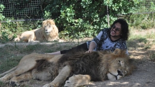 Филип Киркоров се търкаля с лъвове. Спаси бебе! (СНИМКИ)