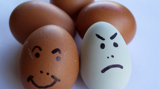 Съюзът на птицевъдите в България съобщи че Комисията за защита