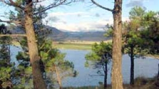 Умряла риба изплува от замърсеното езеро "Вая"