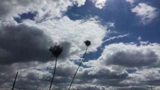 Днес ще има значителна облачност но времето ще бъде меко