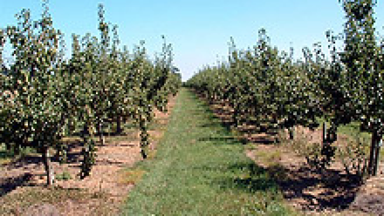 Изображение 5680