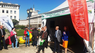 Ангелкова: Лято 2016 е най-успешният туристически сезон