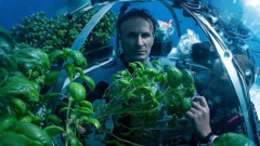 Под морето ли е бъдещето на земеделието