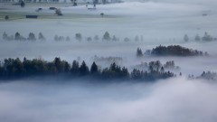 Мъгла причини верижна катастрофа на магистрала в Германия