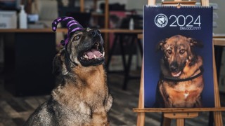 Още най древните хора са забелязали цикличността на живота смяната