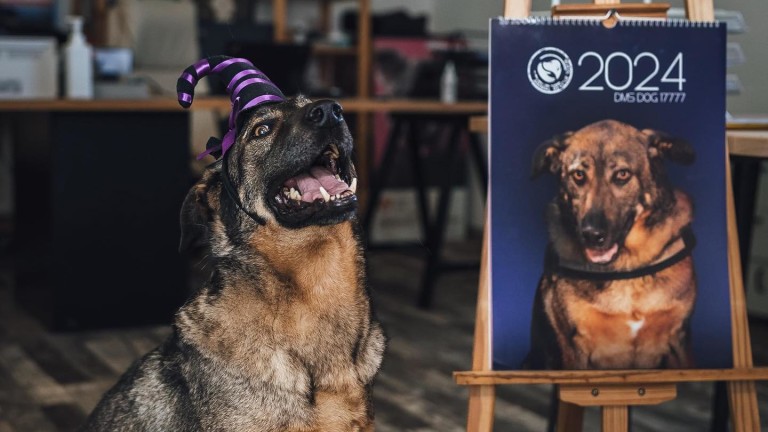 Изображение 647080