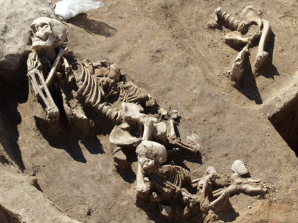 Изображение 137680