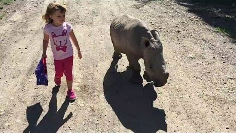 Дете се сприятели с бебе носорог (Видео)