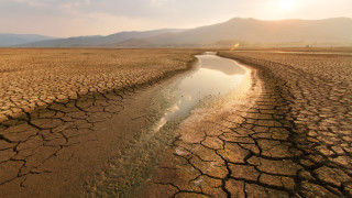 Малави обяви бедствено положение заради тежка суша която засяга по голямата