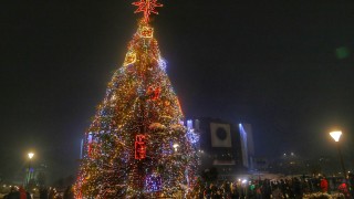 Запалиха светлините на Коледната елха в София Украсеното дръвче е