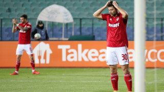 Кариерите на професионалните футболисти предлагат възходи и падения Такъв е