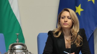 Депутатът от ГЕРБ СДС Рая Назарян е новият председател на Народното