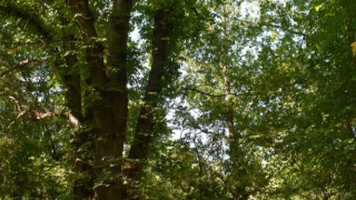 Министърът на околната среда и водите Манол Генов обяви две