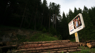 Нова криза удари пазара на дървесина у нас