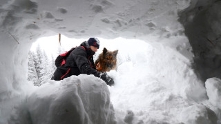Дроновете помагат, но не могат да заменят  кучетата и спасителите в лавинните операции