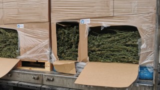 Задържаха над 1 тон индустриален коноп в района на ГКПП