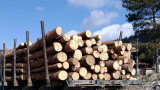  Преференциални цени на дървата за огрев в община Плевен 