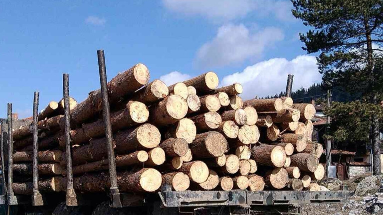 Горски задържаха 250 кубика незаконна дървесина в хода на масови проверки