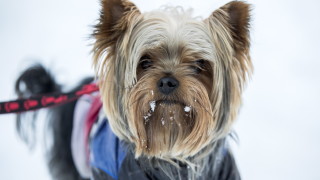 Днес ще е облачно Слаби валежи от дъжд и сняг