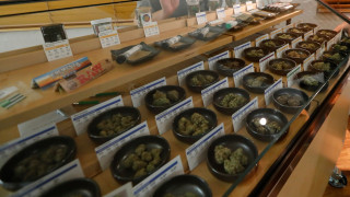 Легалната продажба на канабис в САЩ се очаква да генерира