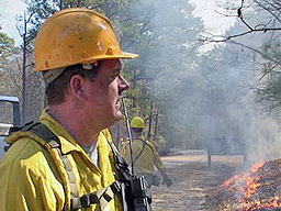Близо 10 000 потушени пожара от началото на годината 