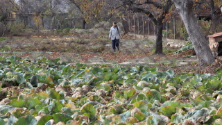 Жителите на село Върбовка община Павликени се обявиха срещу инвестиционното