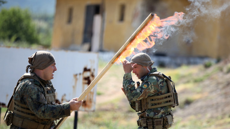 Изображение 432381