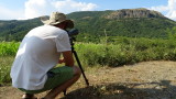 Над 70 белоглави лешоядчета се излюпиха в Източните Родопи