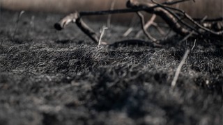 Под ръководството на Районната прокуратура в Ботевград се води разследване