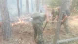 Вдигнаха кугъра отново да гаси пожара над Югово