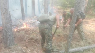 Вдигнаха кугъра отново да гаси пожара над Югово