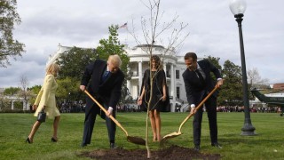 Мистерия с фиданката на Еманюел Макрон Трева покрива подаръка на