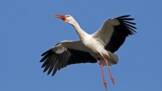 Въпреки снежното време днес посрещаме пролетта В 18 15 часа българско