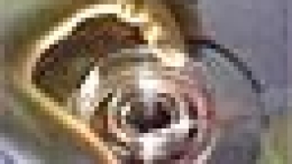 Бургаското рибно пристанище вече с лаборатория