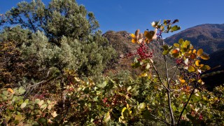 Екоминистерството обяви обсъждане за 13 зони по "Натура 2000"