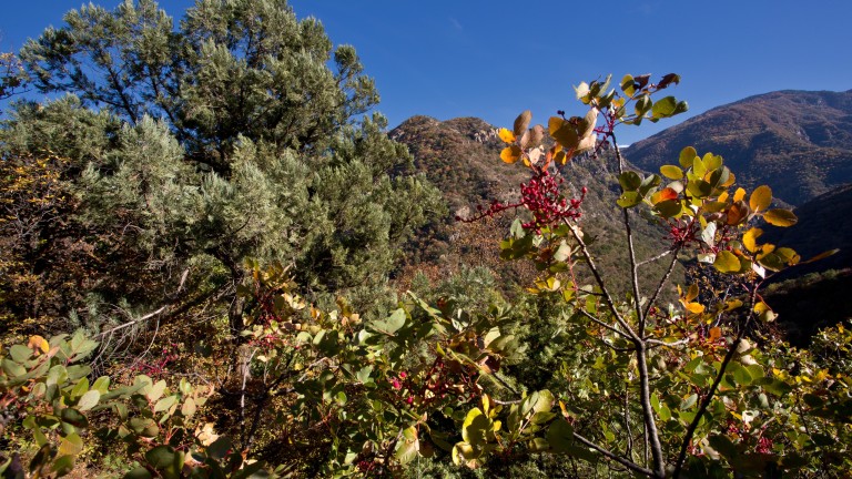 Екоминистерството обяви обсъждане за 13 зони по "Натура 2000"