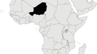 Хипопотам атакува лодка и уби 12 деца и един мъж в Нигер 