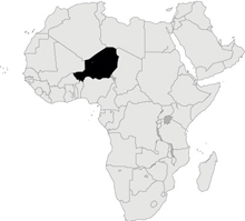 Отвлякоха петима французи в Нигер 