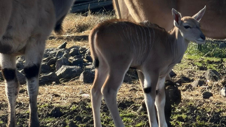 Изображение 754681