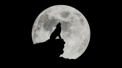 Вълча луна: първото пълнолуние за 2026 г. е също и Суперлуна