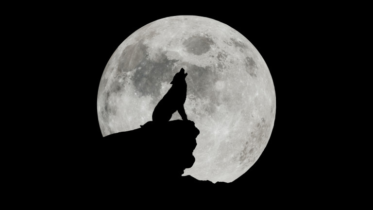 Вълча луна: първото пълнолуние за 2026 г. е също и Суперлуна