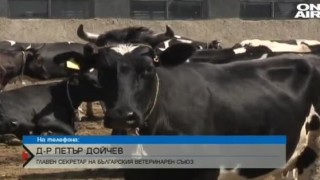 В писмо до премиера Бойко Борисов от Българския ветеринарен съюз