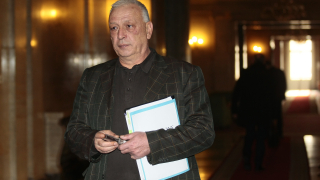 Две парламентарни комисии нищят казуса с охраната на Местан