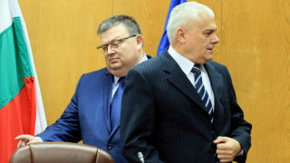 Цацаров нахока МВР за бедстващите кончета