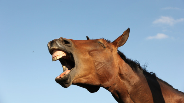 Изображение 226781