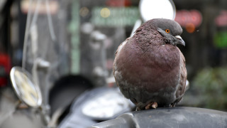 Днес ще бъде предимно слънчево но преди обяд на места